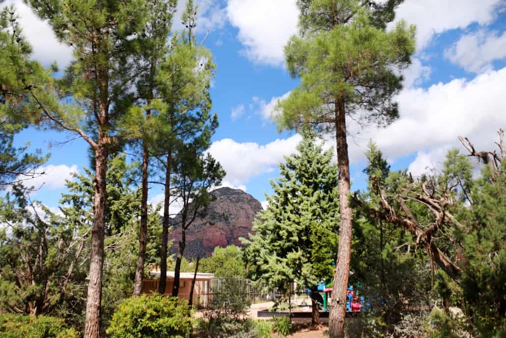 Dr Gerson health retreat